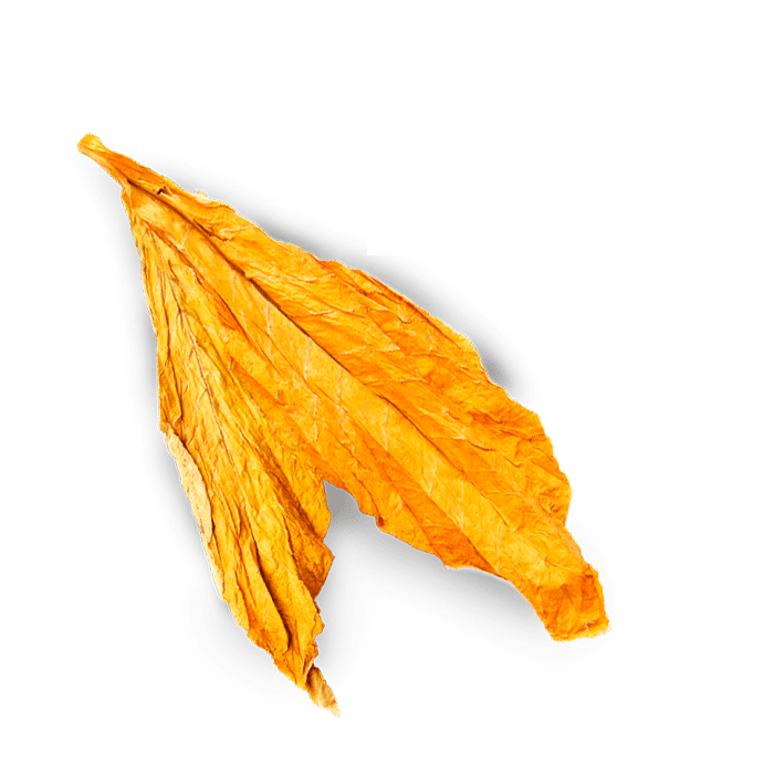 5kg Hoja de Tabaco entera Virginia Lemon Online